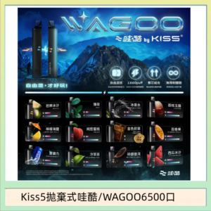 WAGOO哇酷Kiss5 6500口拋棄式 | 自由混搭雙口味 | 雙芯組合