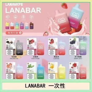 LANA BAR可充电一次性電子煙霧化5000口(3.0%)