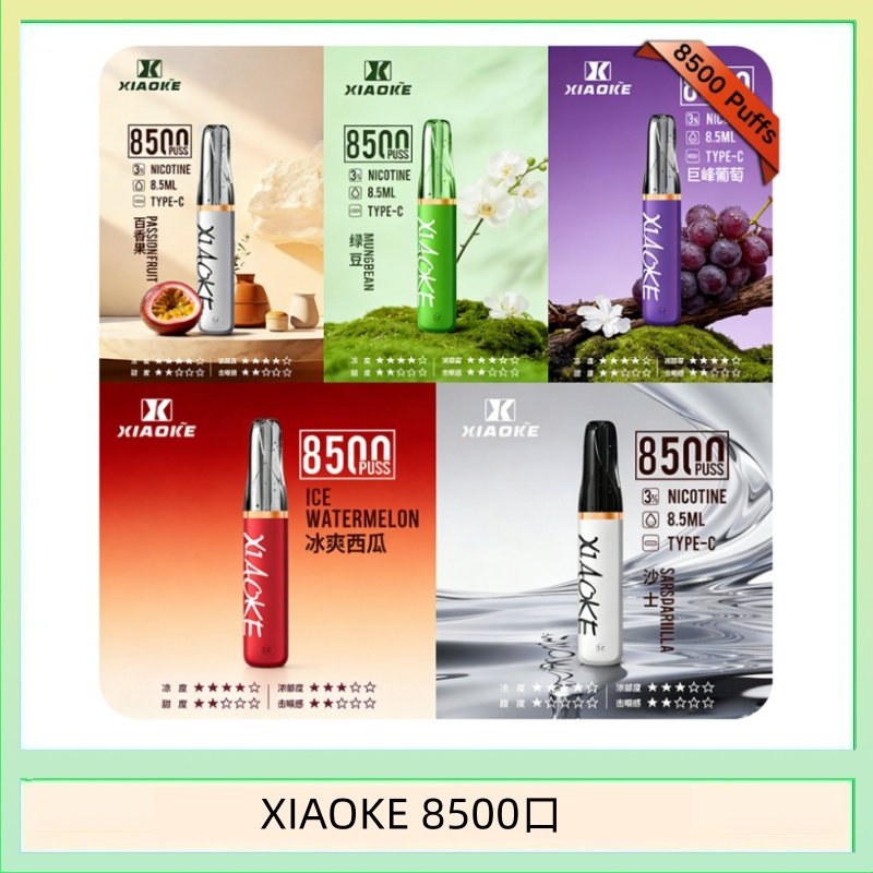 梟客XIAOKE一次性電子菸拋棄式8500口